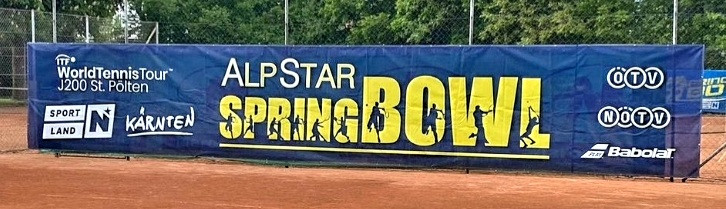 Spring Bowl in Harland